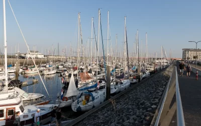 Mosselrace Yerseke