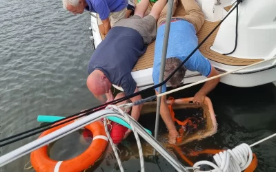 Persoon te water in de haven