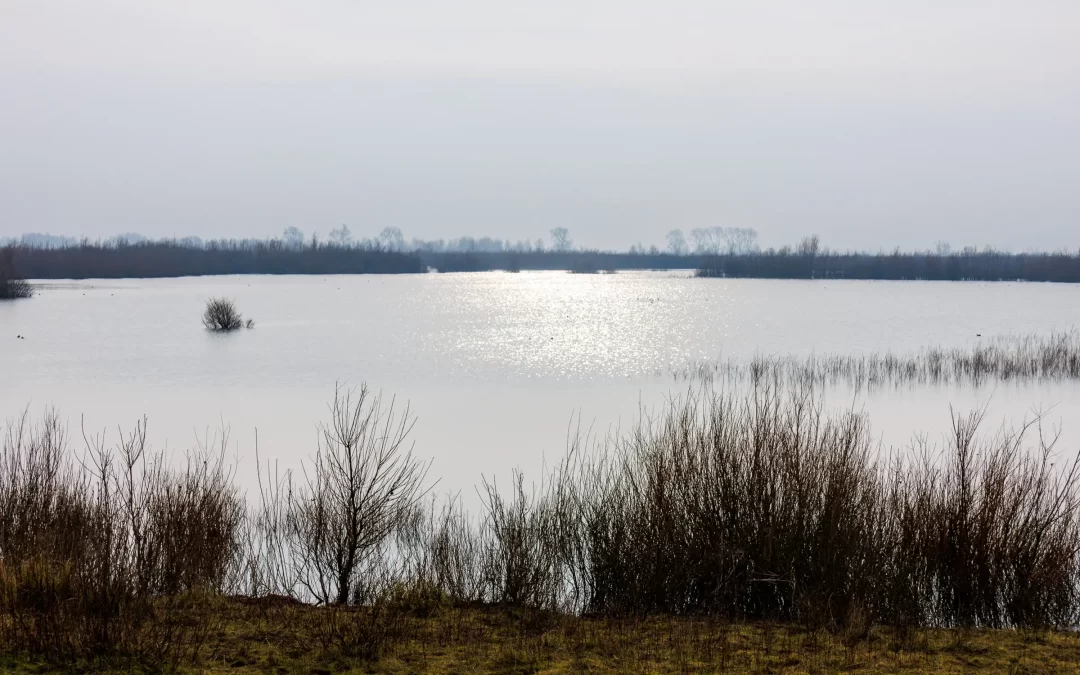 Wat is het kierbesluit?