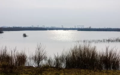 Wat is het kierbesluit?