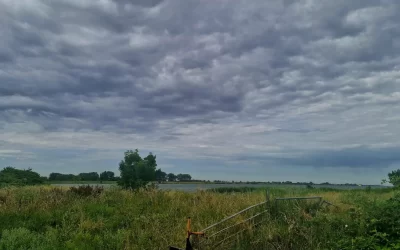 Tiengemeten