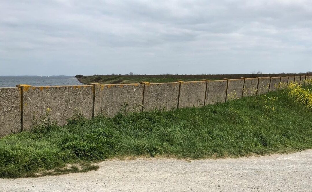 De Muralt muur